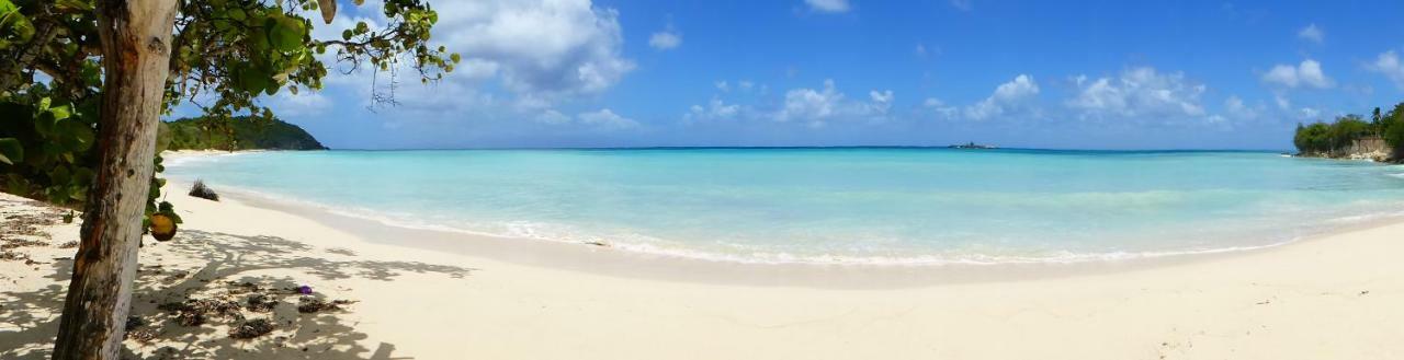Appartement Proche De La Mer Ty Manganao แซงต์-ฟรองซัวส์ ภายนอก รูปภาพ